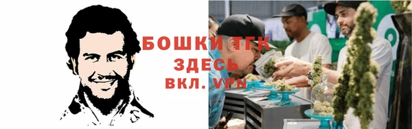 ALPHA PVP Белокуриха