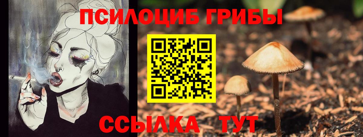Галлюциногенные грибы прущие грибы Коммунар