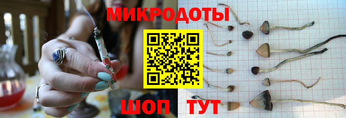 Галлюциногенные грибы Psilocybine cubensis  Вход с VPN  Псилоцибиновые грибы мицелий  Коммунар 